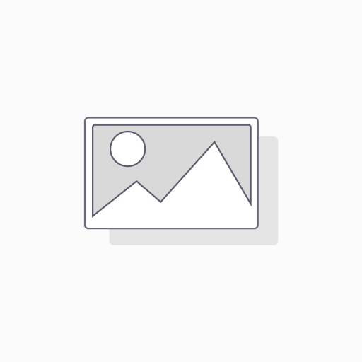 57 - Paniertes Hühnerfleisch, Gemüse, Kokosmilch, gelber Currysauce, Reis